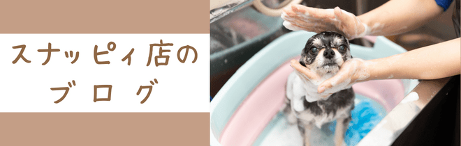 スナッピィ店のブログ