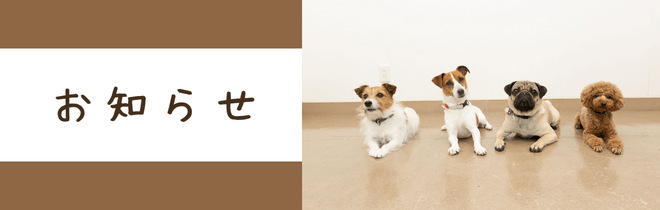 お知らせ